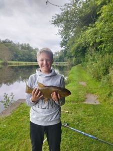 Common Carp