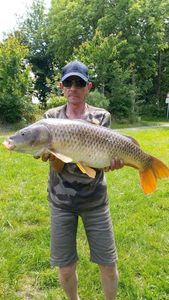Common Carp