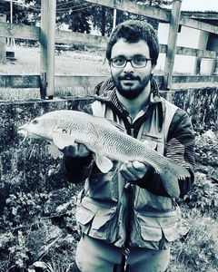 Barbel