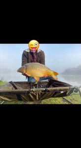 Leather Carp