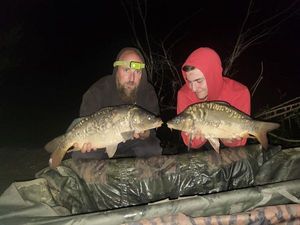 Mirror Carp