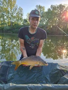 Mirror Carp