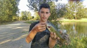Largemouth Bass