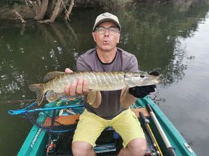 Northern Pike
