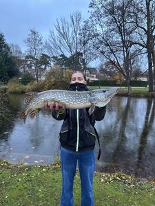 Northern Pike