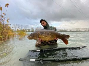 Mirror Carp