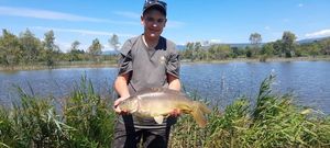 Mirror Carp