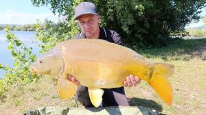 Mirror Carp