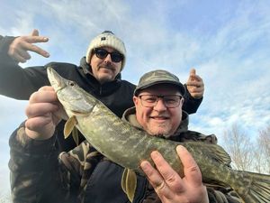 Northern Pike