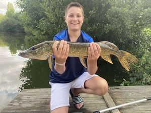 Northern Pike