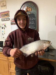 Goldeye
