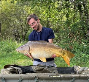 Mirror Carp