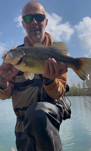 Largemouth Bass