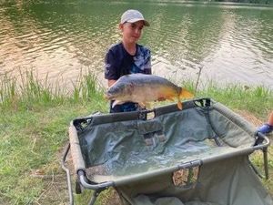Common Carp