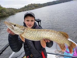 Northern Pike
