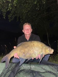 Common Bream