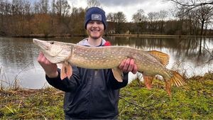 Northern Pike