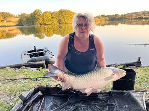 Silver Carp