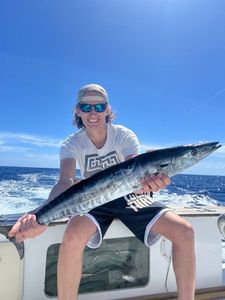 Wahoo