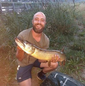Northern Pike