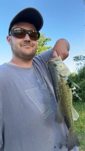 Smallmouth Bass