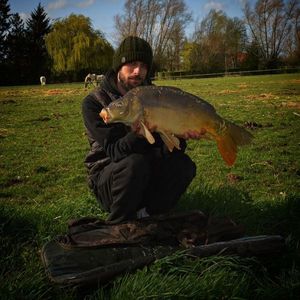 Mirror Carp