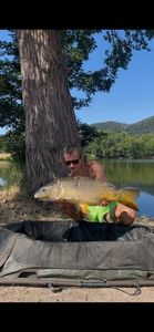 Mirror Carp