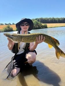 Northern Pike