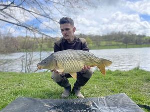 Common Carp