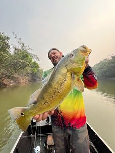Cichla mirianae