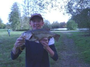 Largemouth Bass