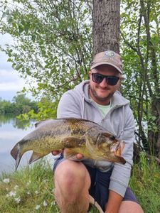 Largemouth Bass
