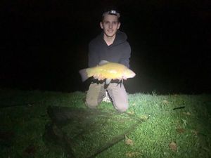 Tench
