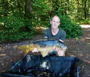Mirror Carp
