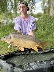 Mirror Carp