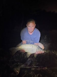 Common Carp