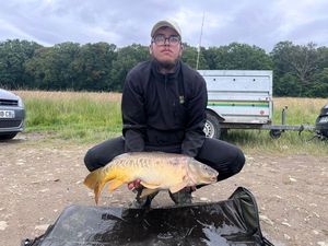 Mirror Carp