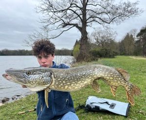 Northern Pike