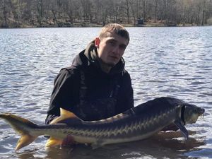 Sturgeon