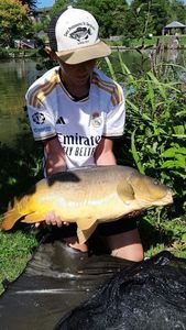Mirror Carp