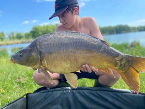 Mirror Carp