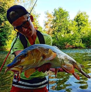 Barbel