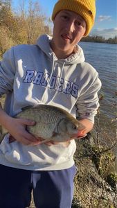 Crucian Carp