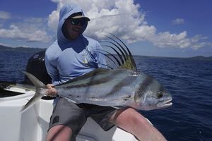 Roosterfish