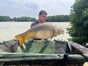 Mirror Carp