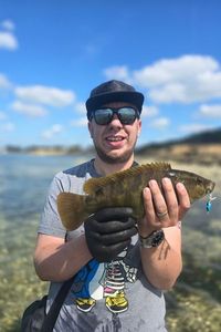Ballan Wrasse