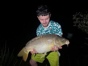 Mirror Carp