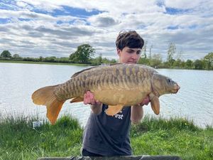 Mirror Carp