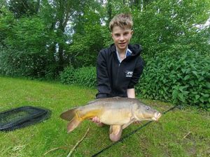 Mirror Carp