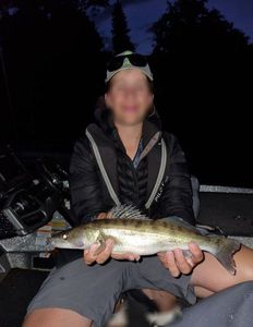 Zander